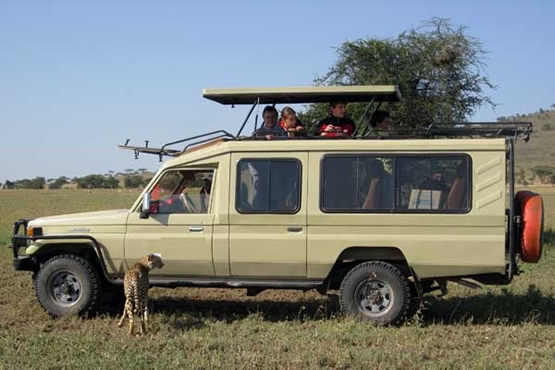 Hatched safari 4x4 for hire