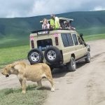 Travel agency in Kenya