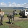Ngorongoro national park