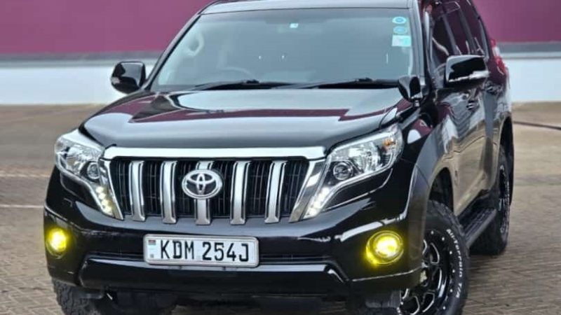 Prado for hire