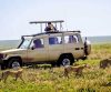 safari land cruiser for hire