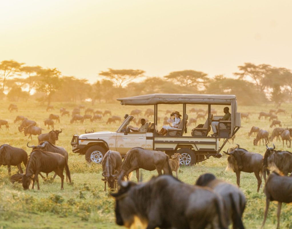 4x4 car hire Maasai mara