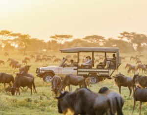 4x4 car hire Maasai mara