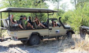 safari land cruiser for hire